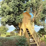 Barranco Da Fonte * Chabouco