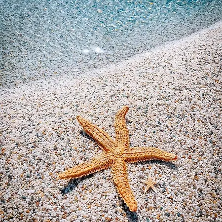 Barranco Da Fonte בית חווה